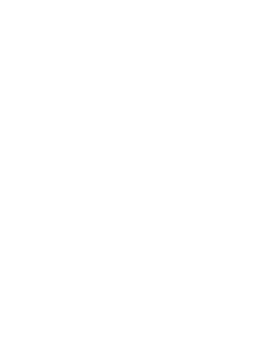 中迪國際